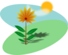 Cartoon Flower In The Sun Clip Art